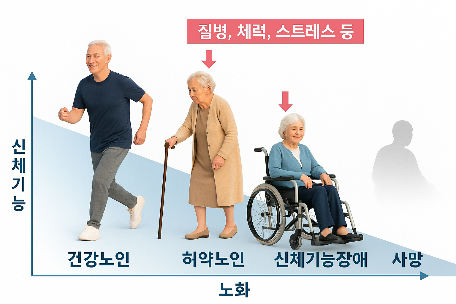 노화 곡선